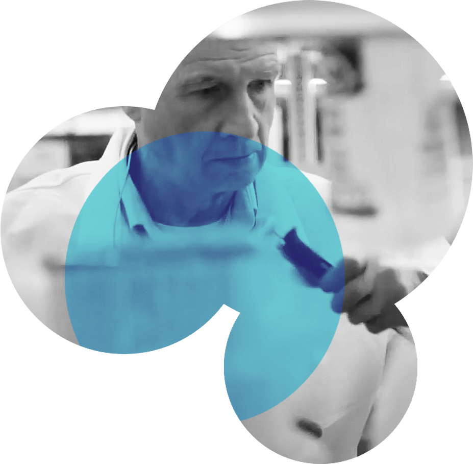 Stylized globe graphic